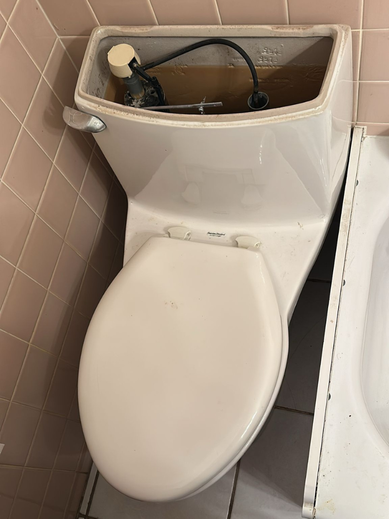 Emergency Toilet Flush Repair Service in Saint-Jean-sur-Richelieu by Delta Plumbers