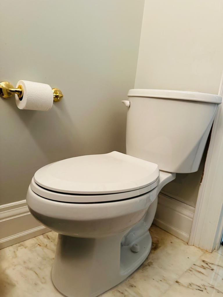 New Toilet Installation Service in Pointe-Claire - Delta Plumbers